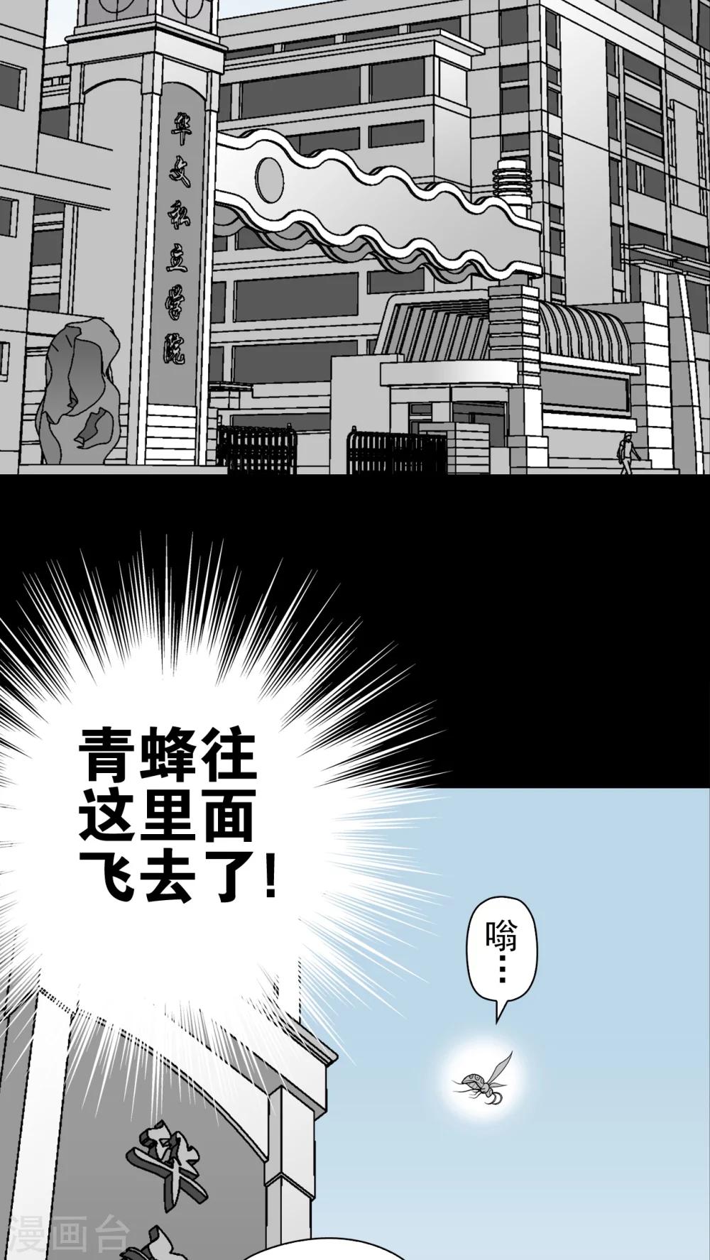 第28话 青蜂的指引-第28话