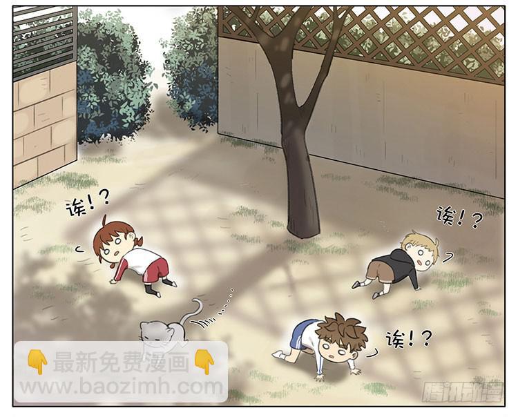 小猫-第86话