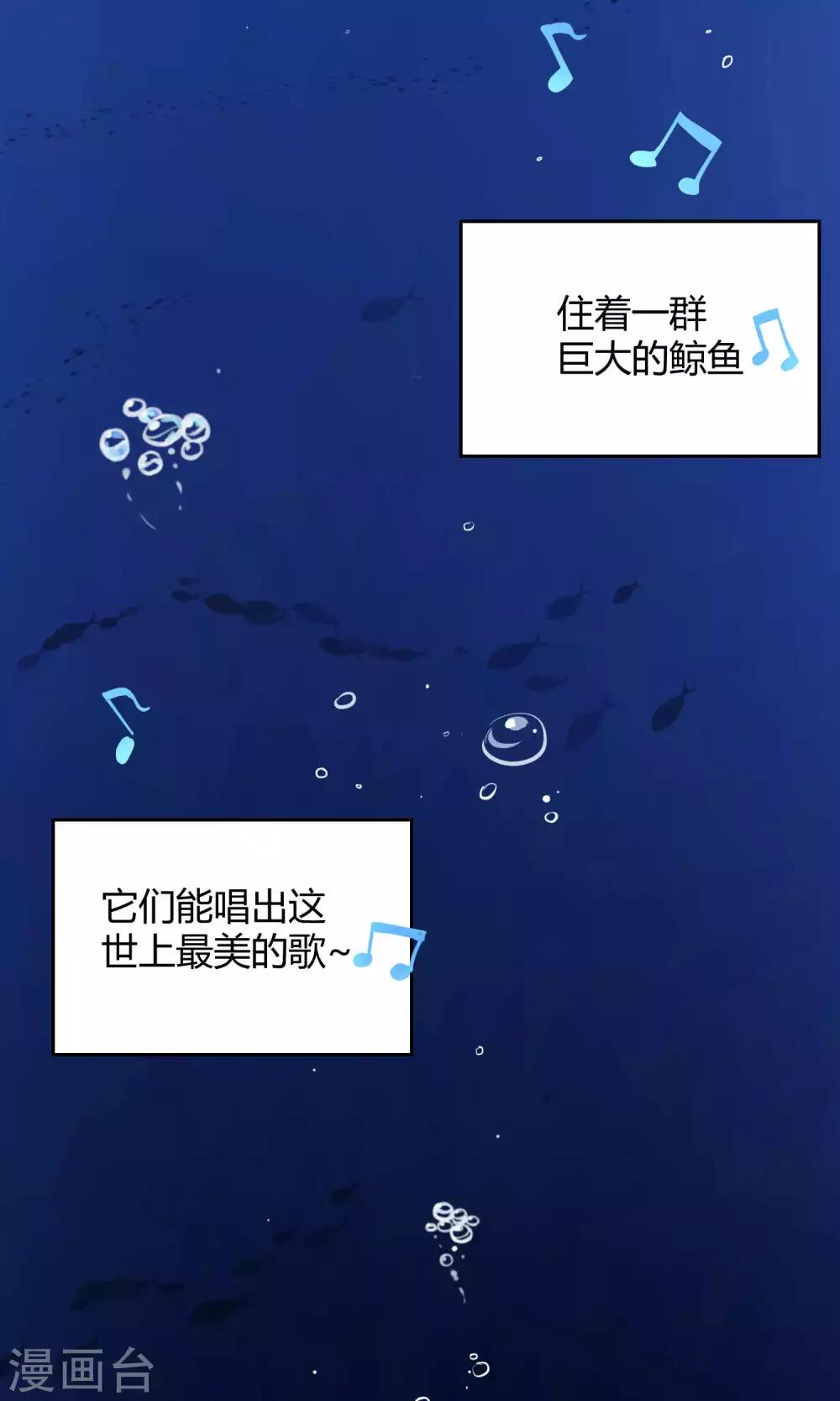 第21话1 鲸之歌-第28话