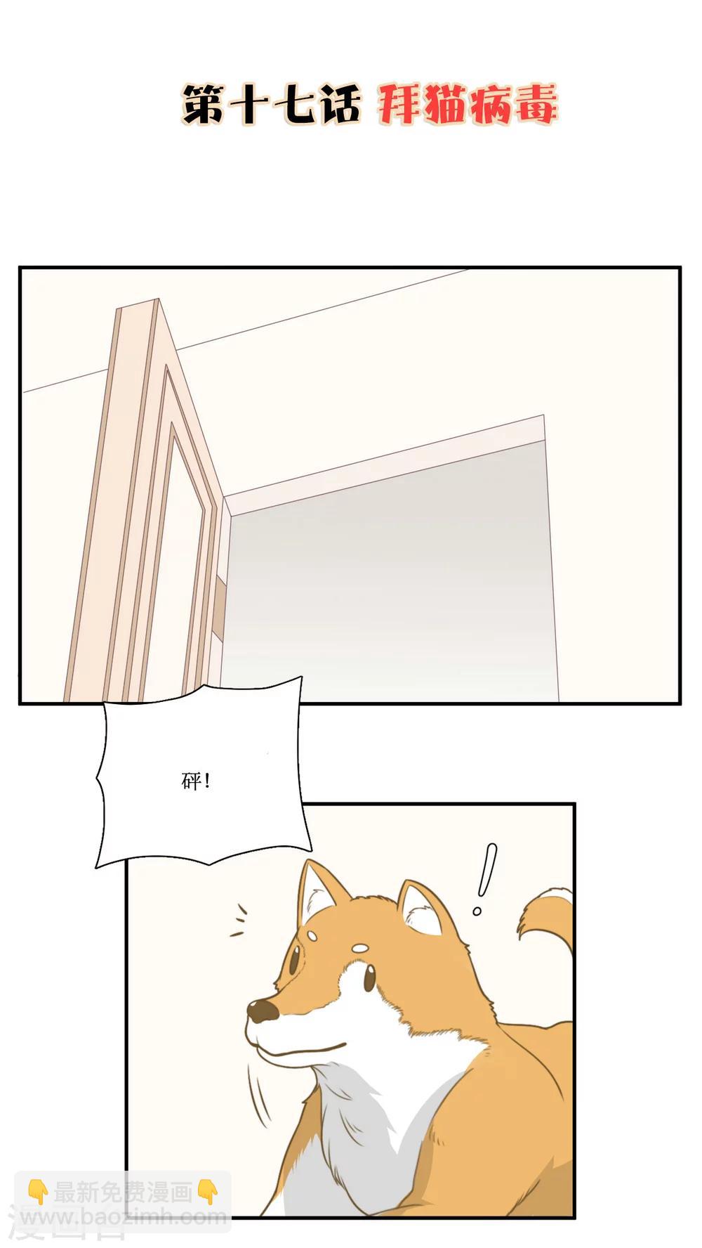 第17话 拜猫病毒-第18话