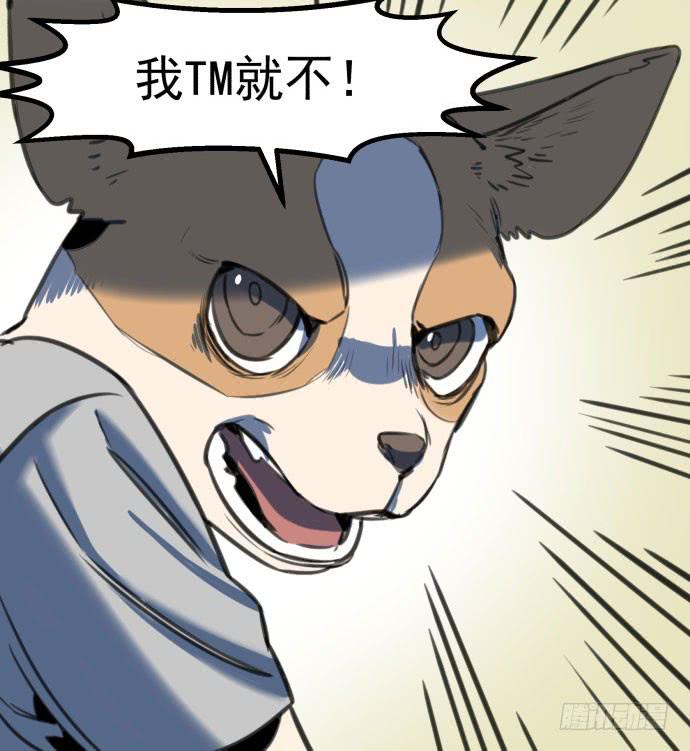 犬化病雷达-第18话