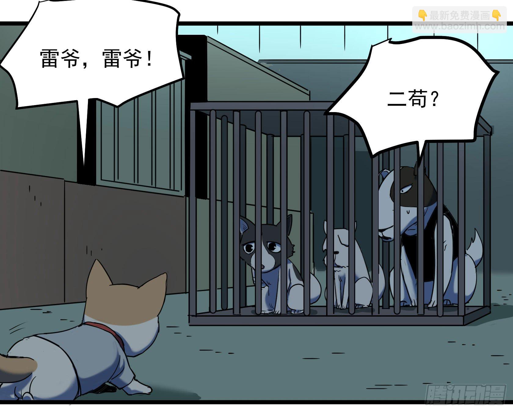 神仙打架(1/2)-第30话