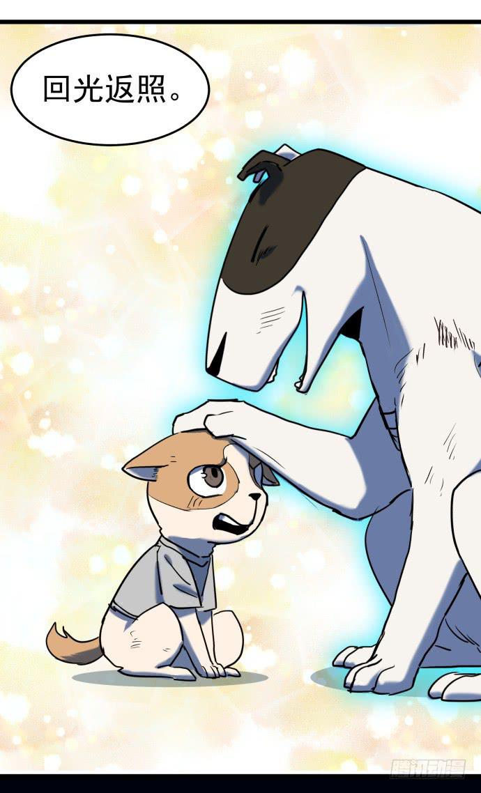 从今天起你就是帮主了-第32话