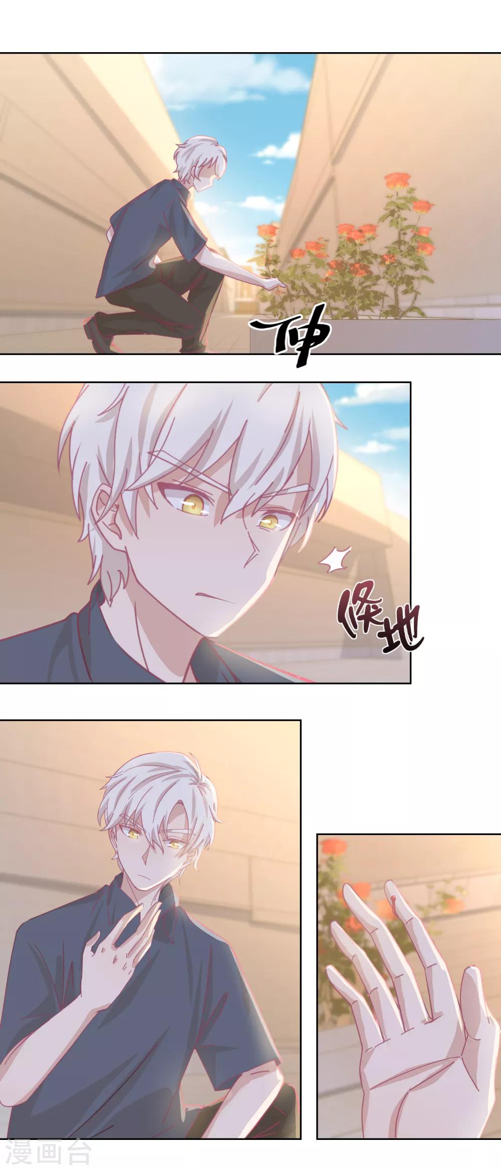 第80话 红玫瑰-第84话