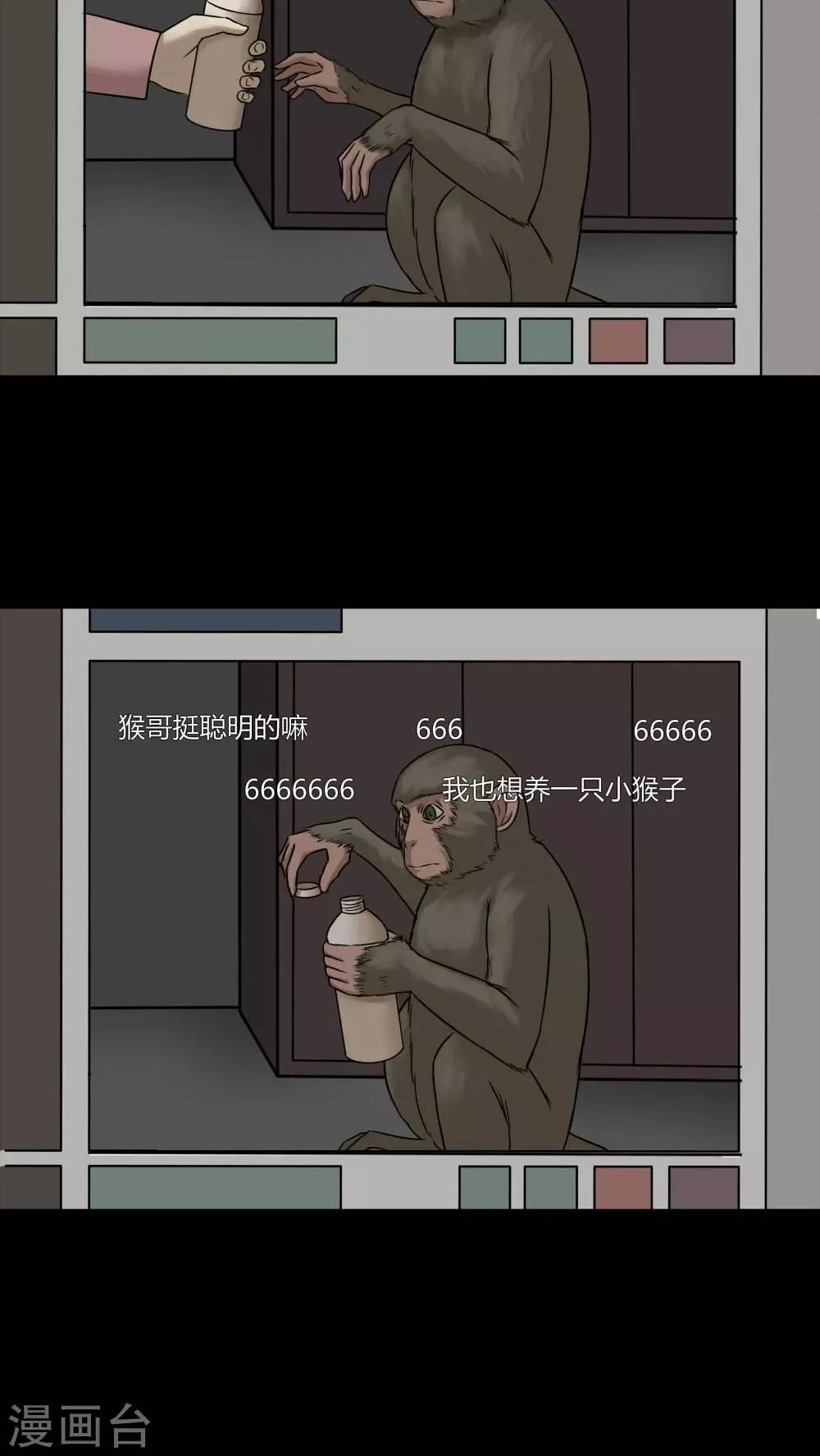 詭中有詭 - 第84話 猴知猴覺(1) - 5