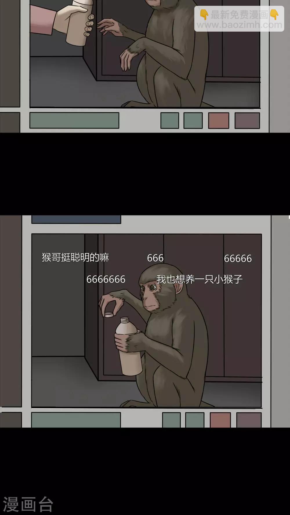 第84话 猴知猴觉(1)-第84话