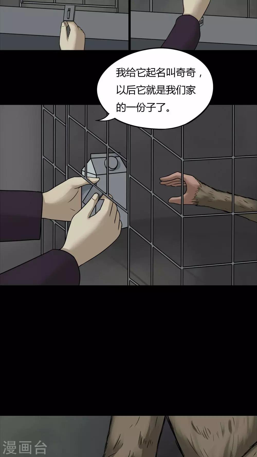 第84话 猴知猴觉(1)-第84话