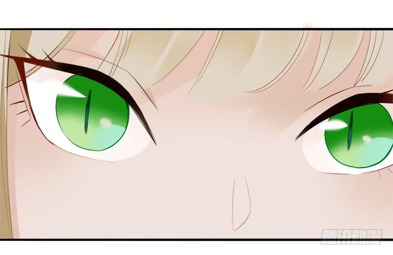 翻滚！禁止！(1/2)-第42话