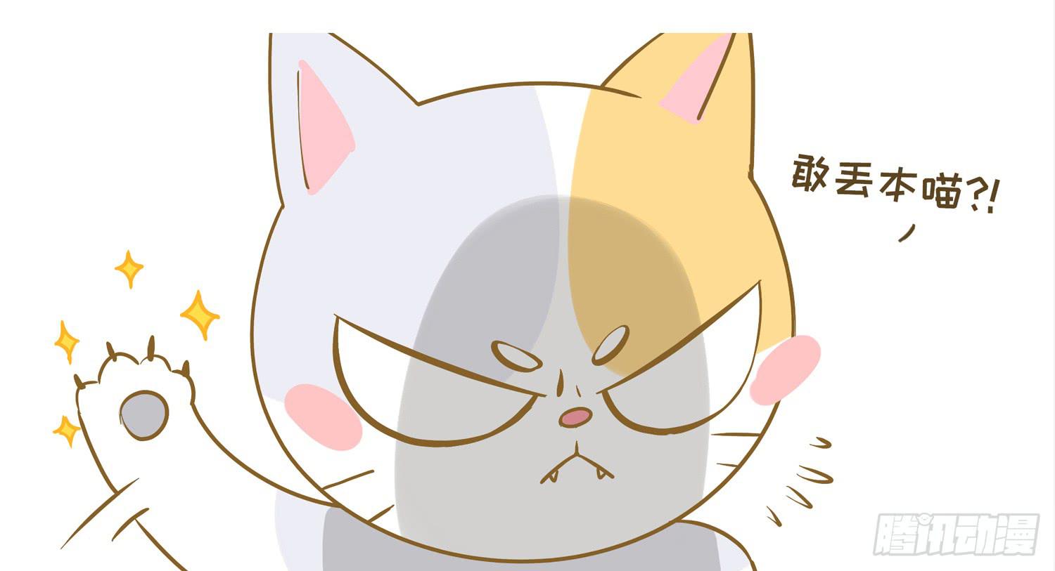 一只猫的滑铁卢Ⅰ-第70话