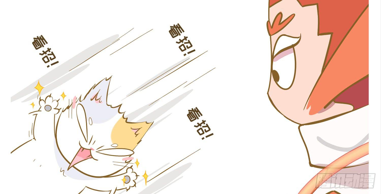 一只猫的滑铁卢Ⅰ-第70话