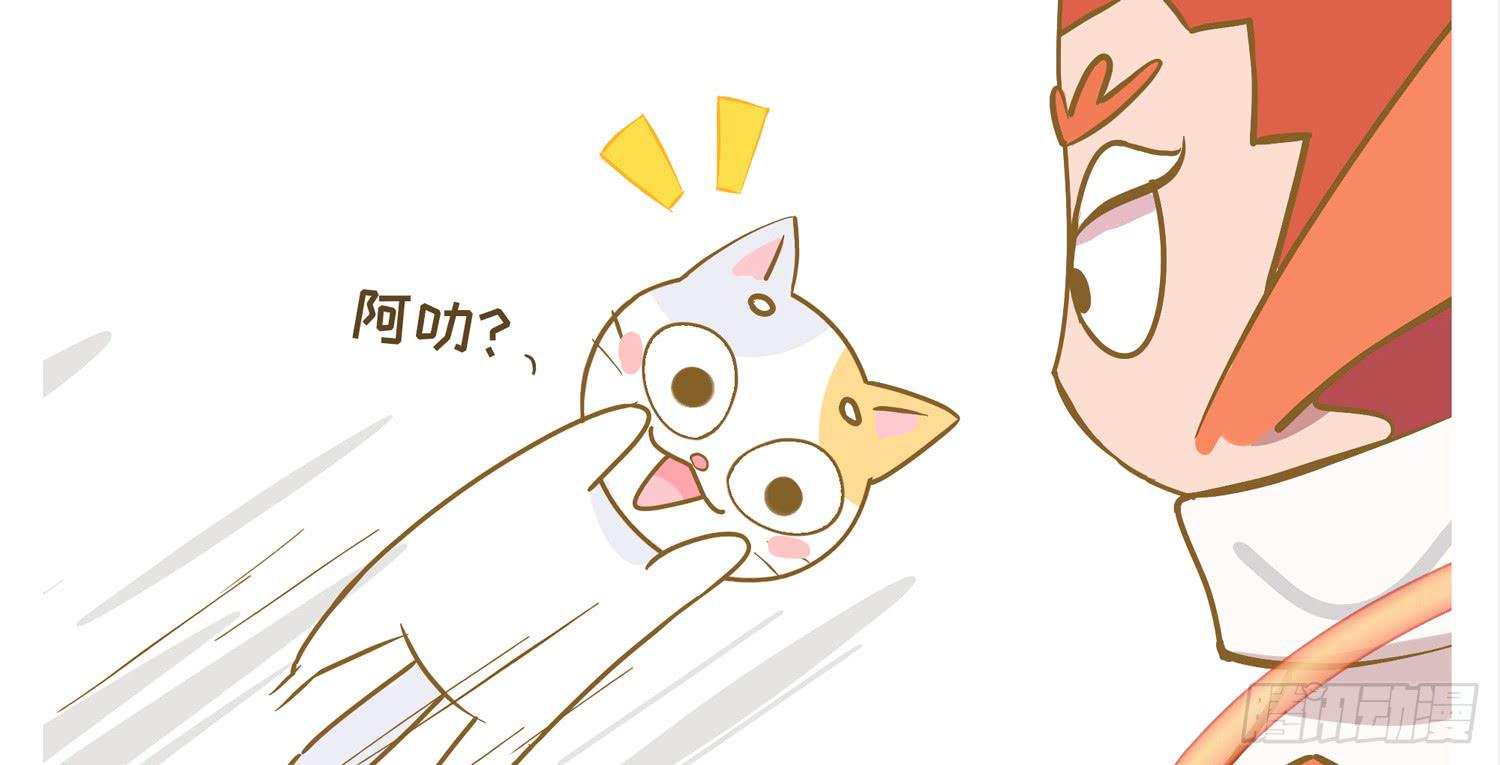 一只猫的滑铁卢Ⅰ-第70话