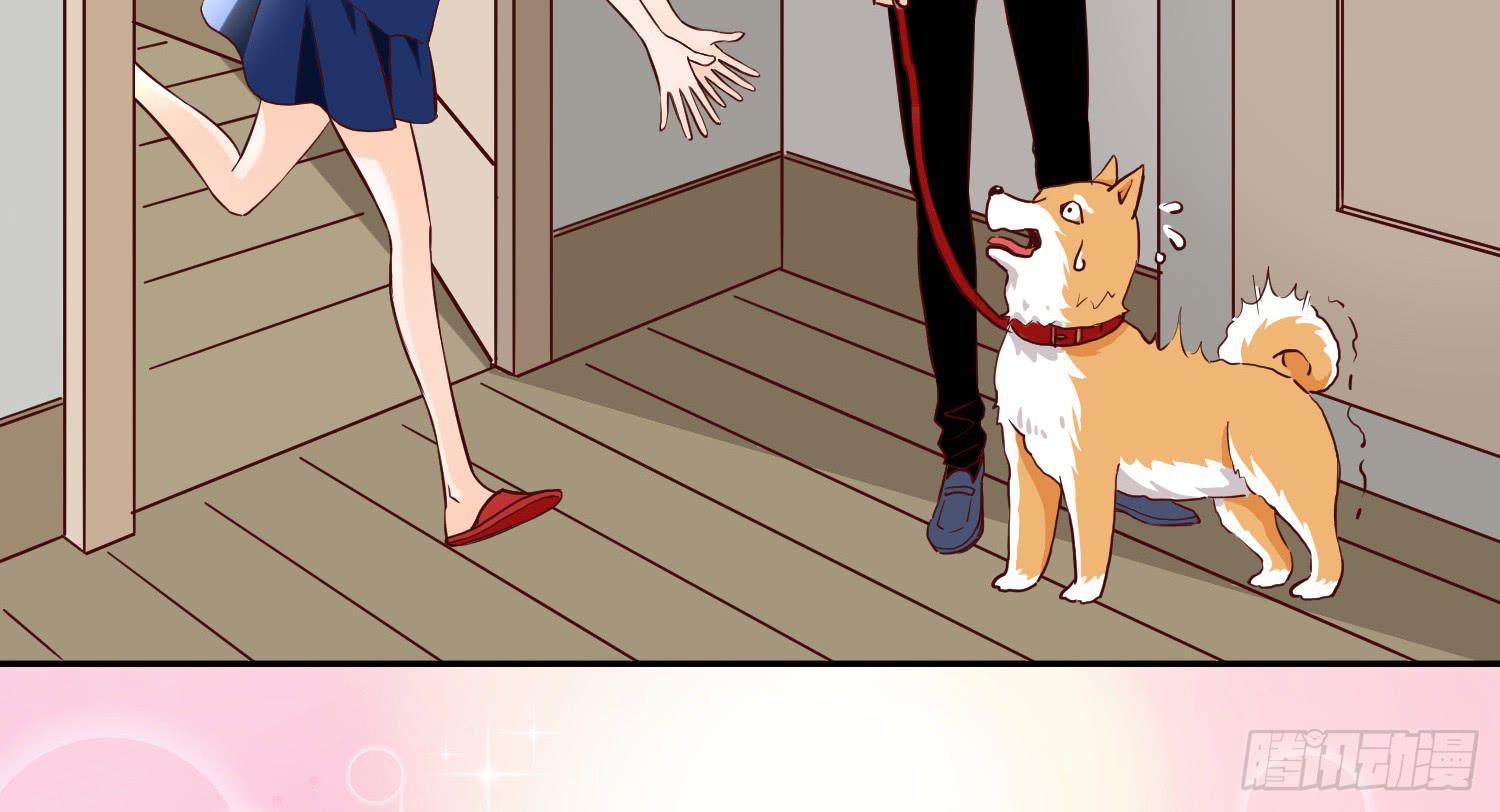 我还不如狗受欢迎(1/2)-第22话