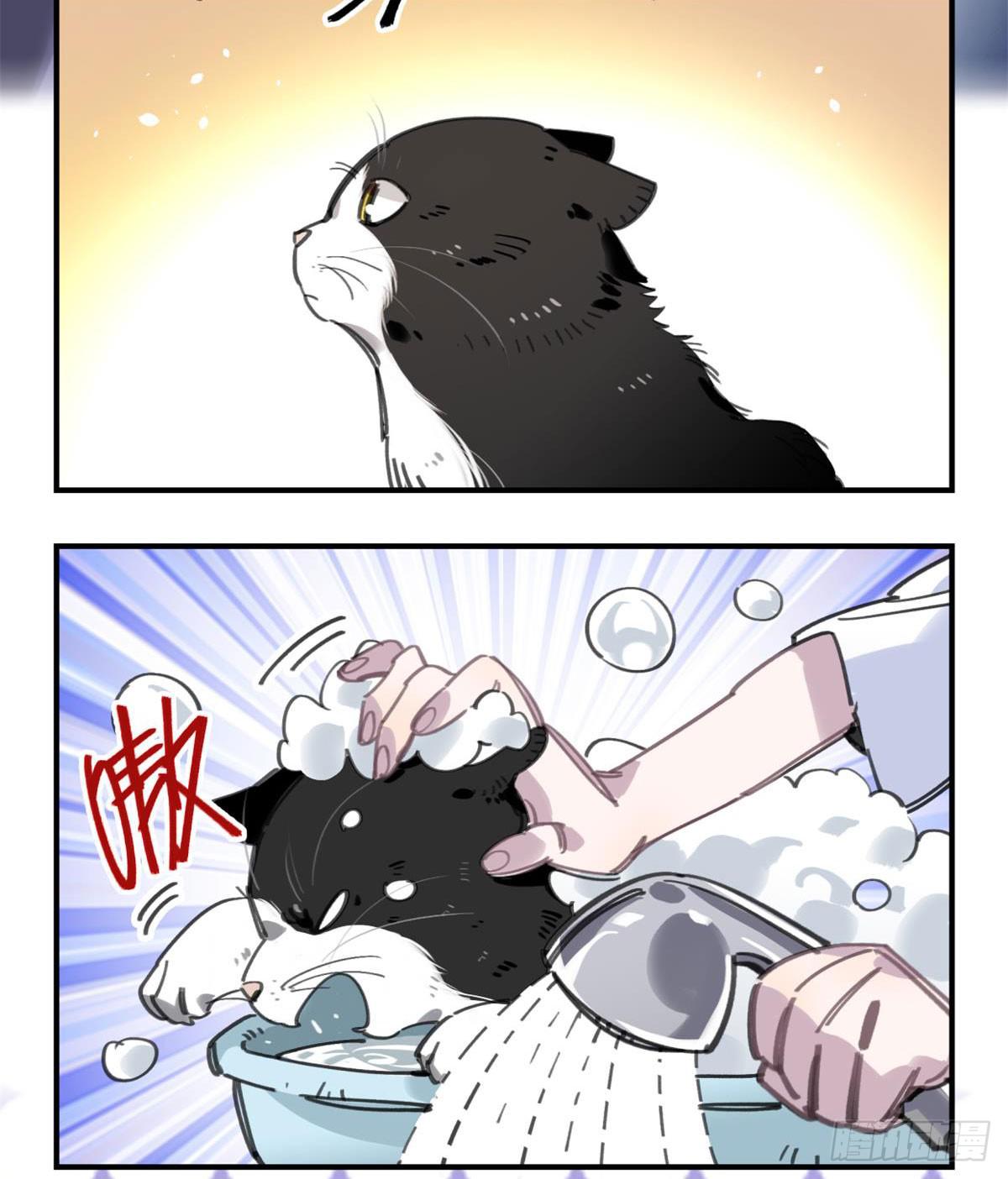 我要留在这里(1/2)-第54话