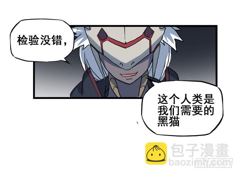 11.货真价实的黑猫-第12话