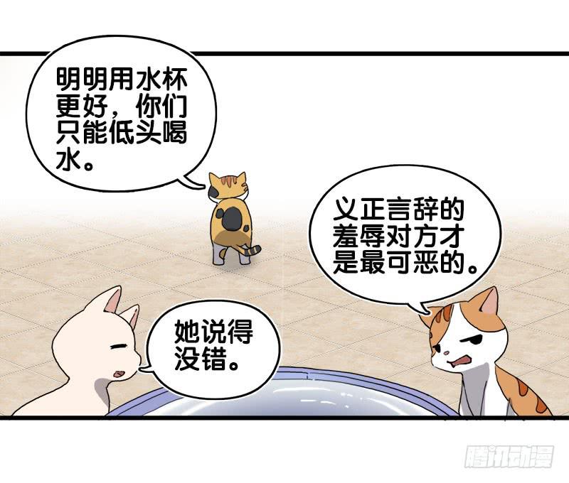 13.猫老大(1/2)-第14话