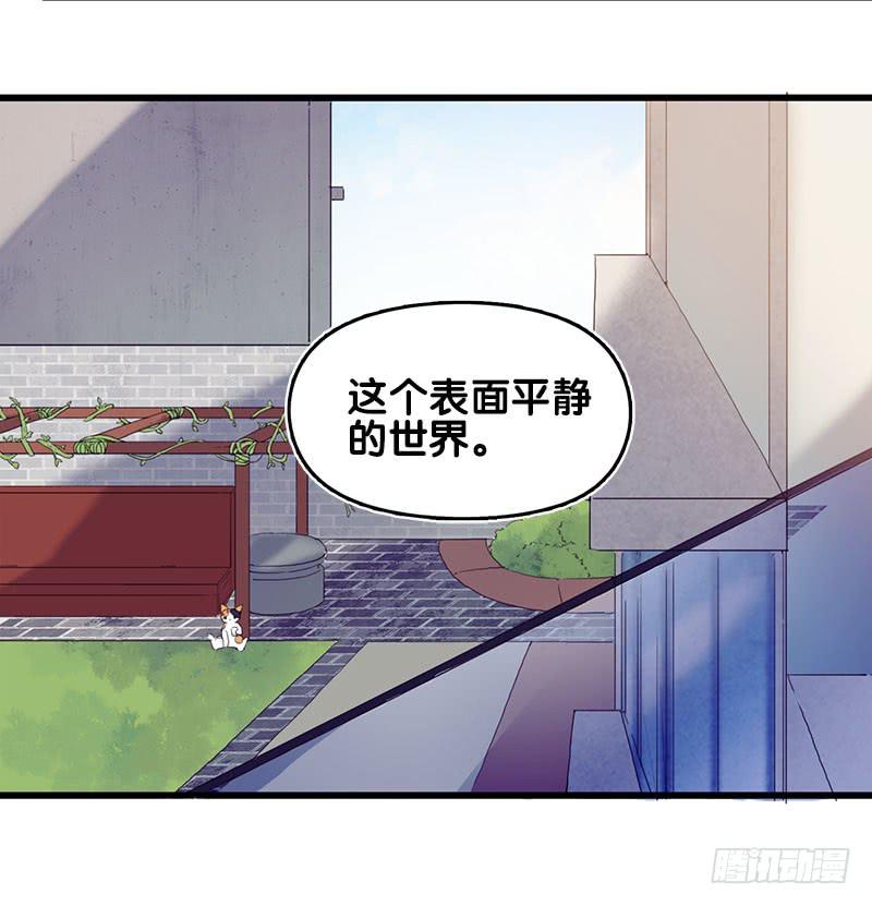 13.猫老大(1/2)-第14话