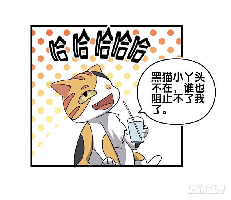 13.猫老大(1/2)-第14话