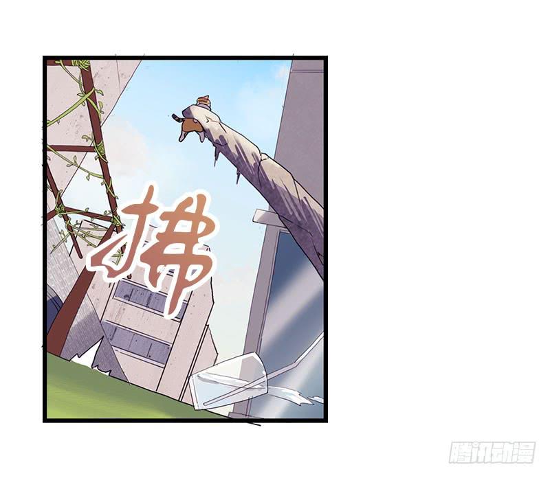 13.猫老大(1/2)-第14话