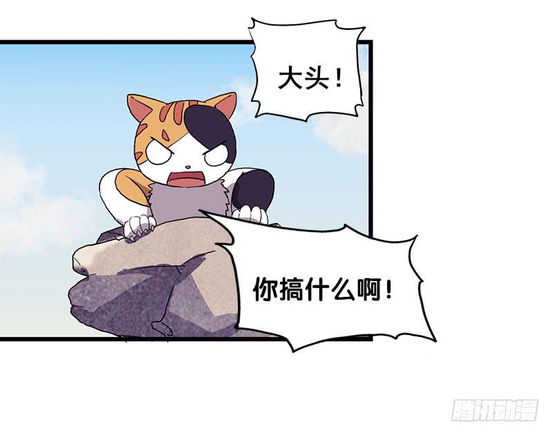 13.猫老大21