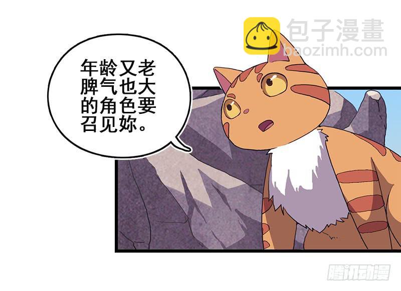 13.猫老大(1/2)-第14话