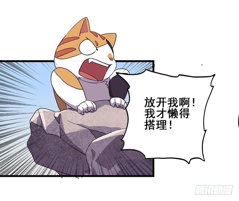 13.猫老大(1/2)-第14话