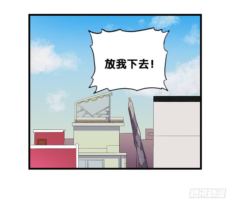 13.猫老大(1/2)-第14话