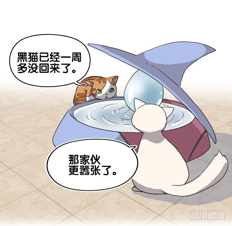 13.猫老大(1/2)-第14话