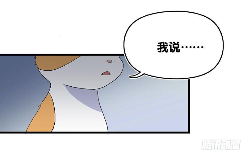 13.猫老大(1/2)-第14话