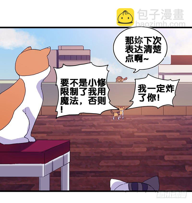 13.猫老大32