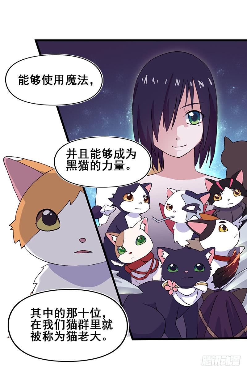 13.猫老大(1/2)-第14话