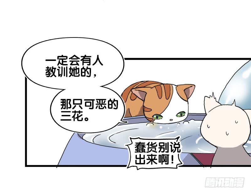 13.猫老大(1/2)-第14话