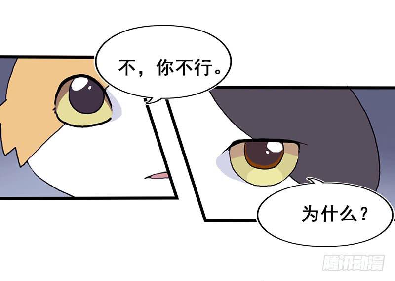13.猫老大(1/2)-第14话