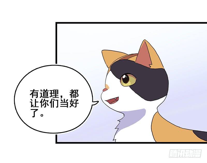 13.猫老大(1/2)-第14话