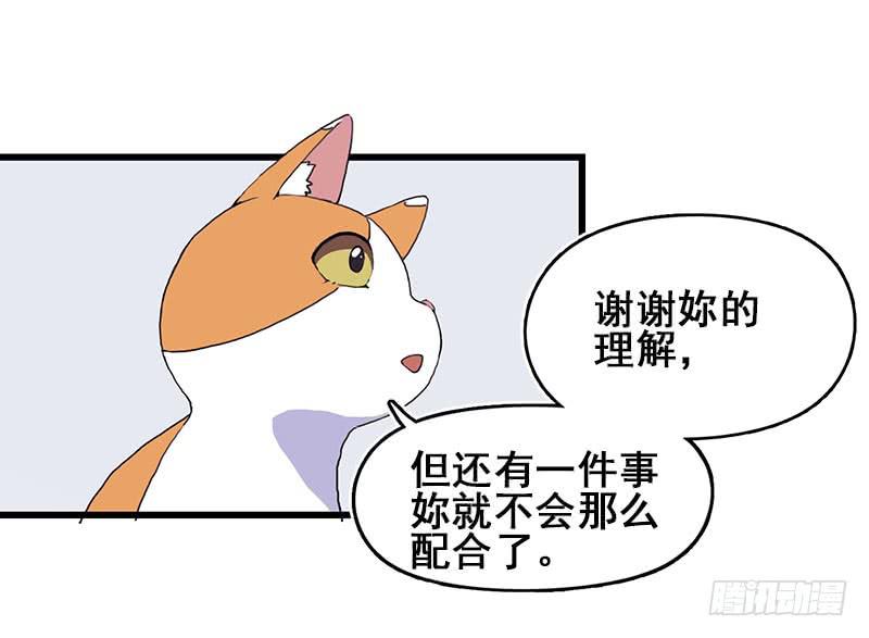 13.猫老大(1/2)-第14话