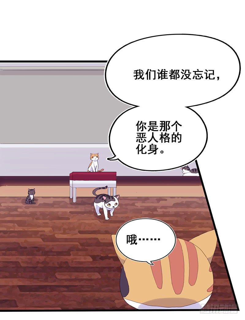 13.猫老大(1/2)-第14话