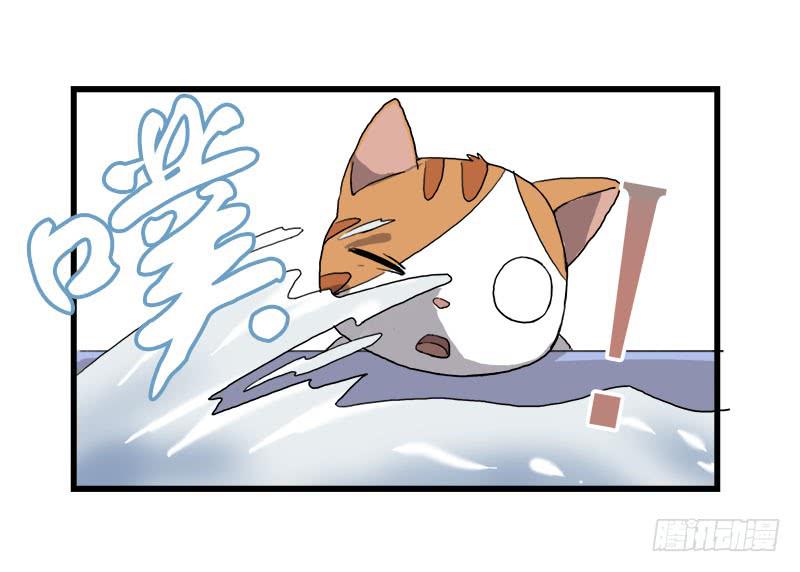 13.猫老大(1/2)-第14话