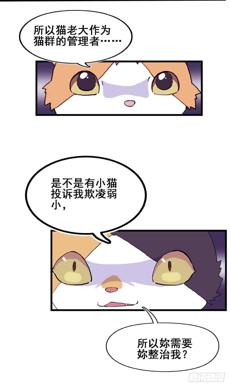 13.猫老大(1/2)-第14话