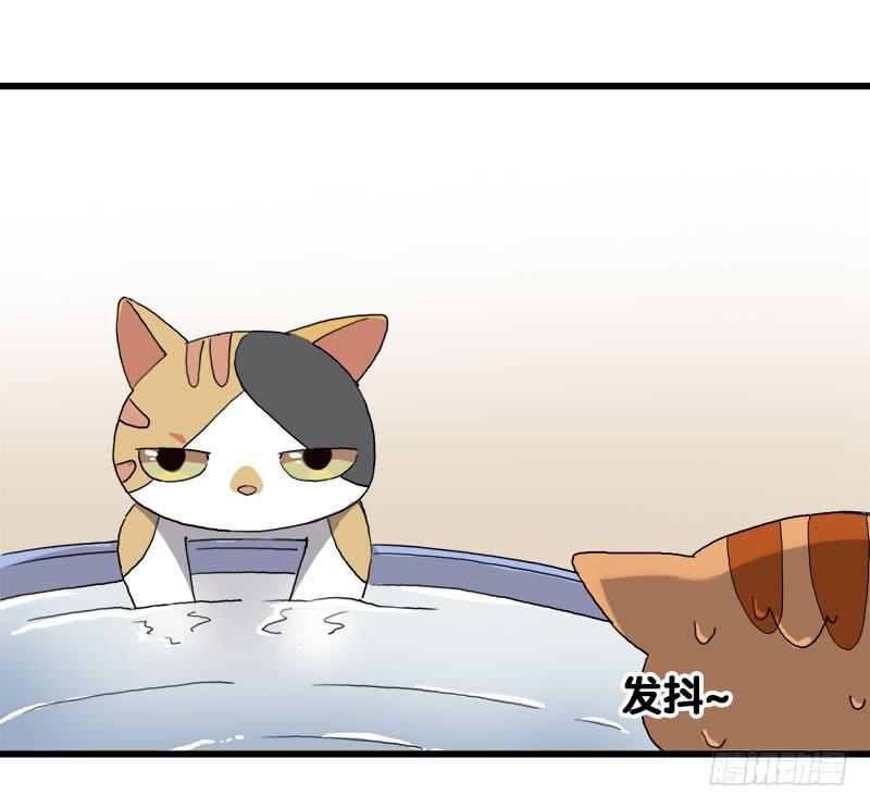 13.猫老大(1/2)-第14话