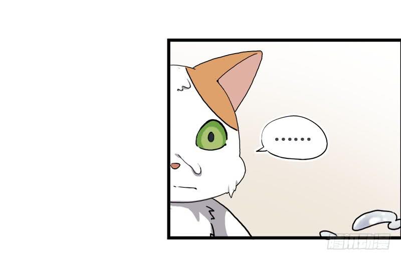 13.猫老大(1/2)-第14话