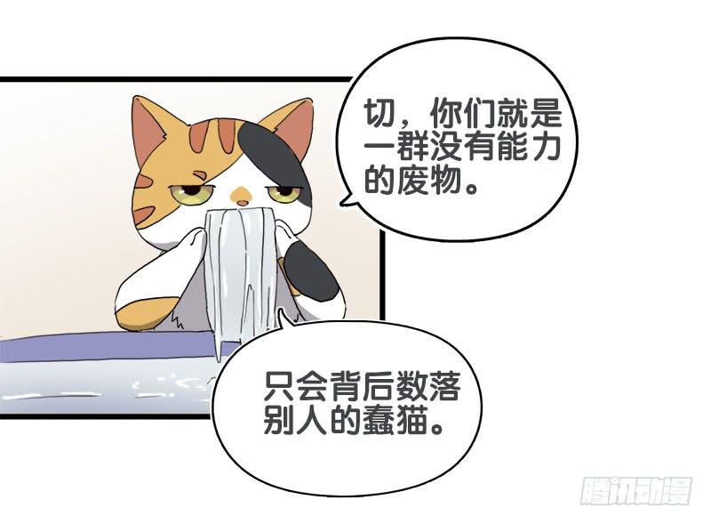 13.猫老大(1/2)-第14话