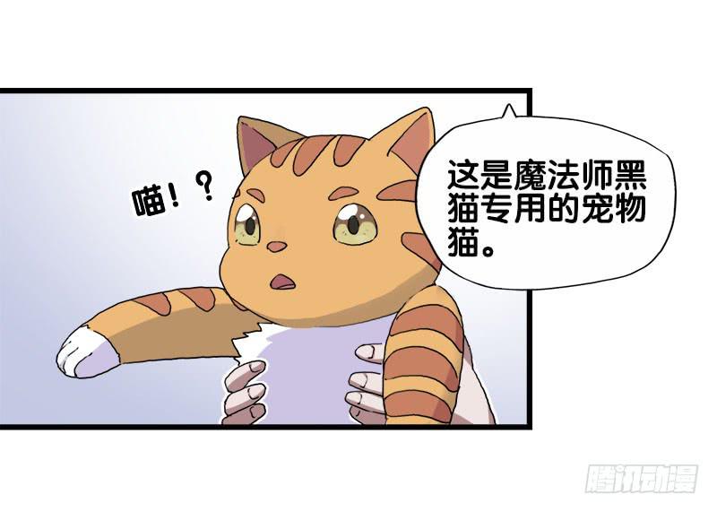 25.看！我有猫。-第26话