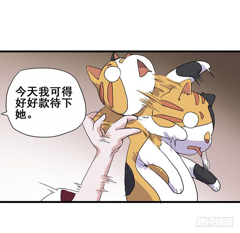 3.黑猫的继承者(1/2)-第4话