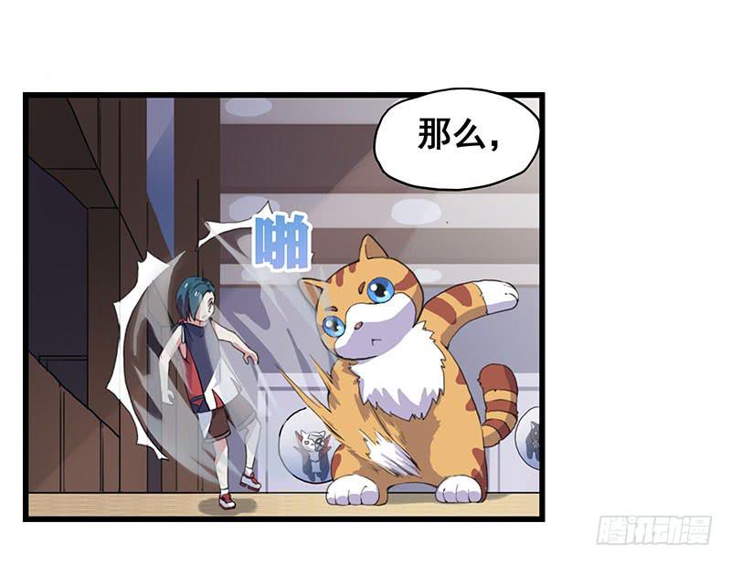 3.黑猫的继承者(1/2)-第4话