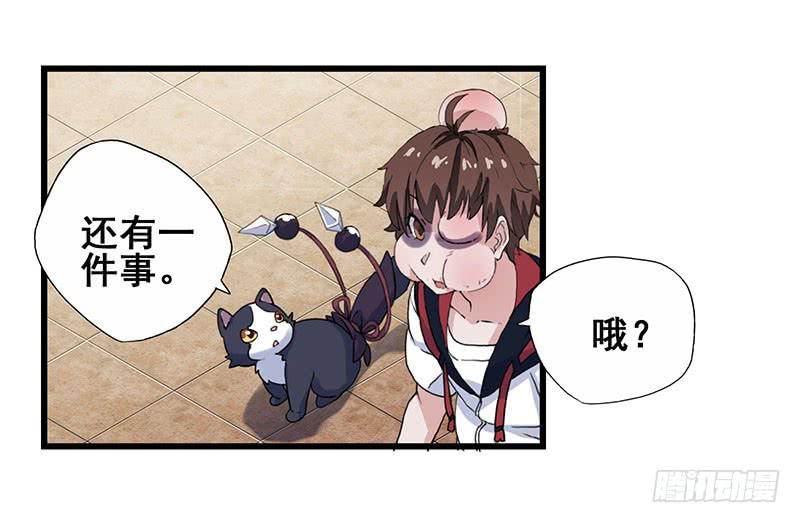 3.黑猫的继承者(1/2)-第4话