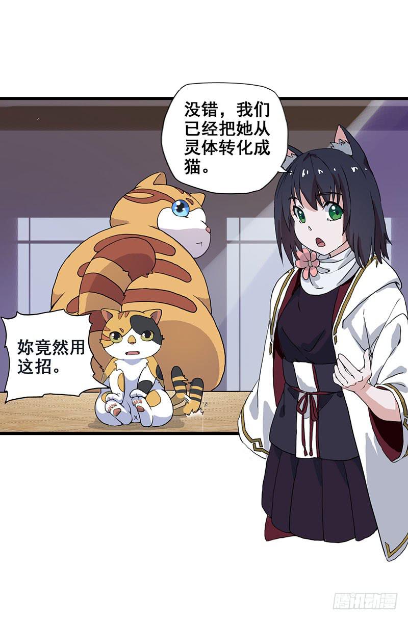 3.黑猫的继承者(1/2)-第4话