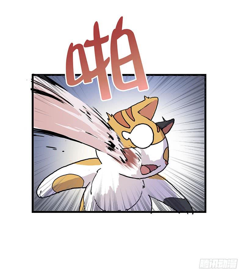 3.黑猫的继承者(1/2)-第4话