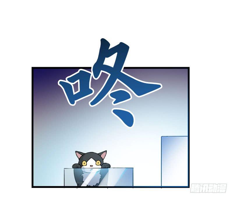 5.黑猫的合约(1/2)-第6话