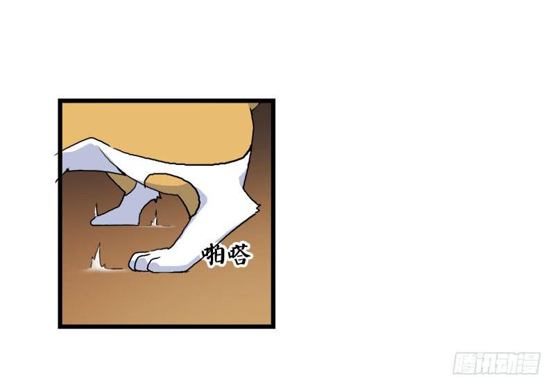 5.黑猫的合约(1/2)-第6话