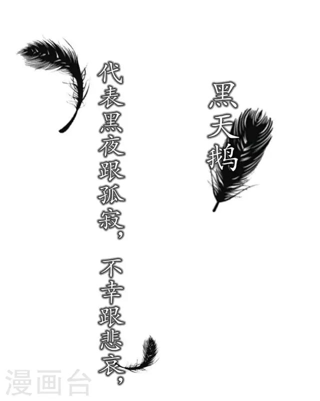 序章 我就好像黑天鹅-第2话