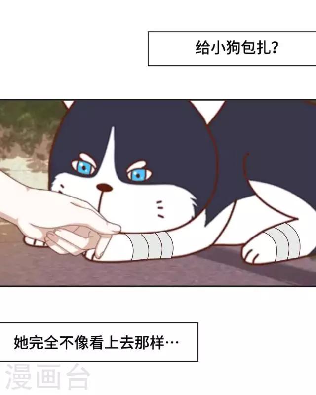 第10话 帮我养它好吗？-第12话